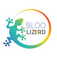 Bloo Lizard, Llc