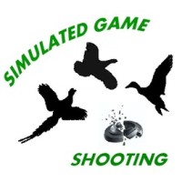 Simulated Game Essex Ltd logo - Similar company to Graffic Ltd