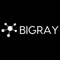 Bigray Tech logo - Similar company to Bigray