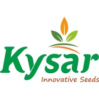 Kysar Seeds International Pvt LTD logo - Similar company to Nurture Crop Science Llp