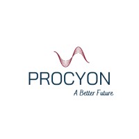 Procyon Yazılım Elektrik Otomasyon A.Ş. logo - Similar company to Zrd Engineering Group
