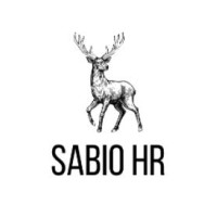 Sabio HR logo - Similar company to Amiable Infotech
