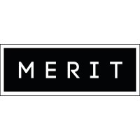 Merit Data & Technology India logo - Similar company to Merit Software