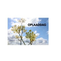Oplaaddag logo - Similar company to Deventer Coffee Is Pure Coffee And Very Tasteful