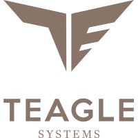Teagle Systems - We solve problems logo - Similar company to Geotik