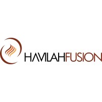 Havilah Fusion Technologies logo - Similar company to Flexi-Net