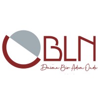BLN Customs Brokerage & Logistics logo - Similar company to Dgm Gümrük Müşavirliği A.Ş.