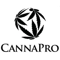 CANNAPRO EUROPA S.L logo - Similar company to Medicanmap