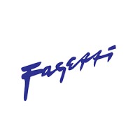 fagetti group logo - Similar company to Fagetti