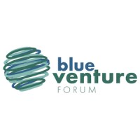 Blue Venture Forum logo - Similar company to Angstrom Technologies, Inc.