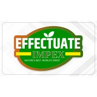 Effectuate Impex logo - Similar company to Cargo Plus Kuwait