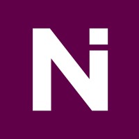 Netiks logo - Similar company to Pixel Software Solutions