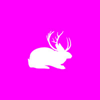 The Jackaloop - Marketing Digital em São Carlos logo - Similar company to Multi Cartuchos São Carlos