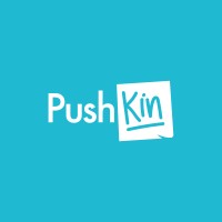 PushKin logo - Similar company to Cartwheel Studio