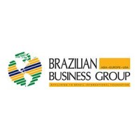 Brazilian Business Group logo - Similar company to Stz Engineering, Llc