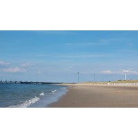 Rens Van Overdam Organisatieadvies & Coaching