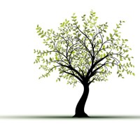 Concordia Financial Group, Inc