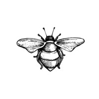 Beekind, Llc