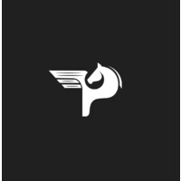 Pegasus Technologies Inc. logo - Similar company to Wp Development Inc.