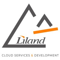 Liland IT GmbH logo - Similar company to Borealis Software