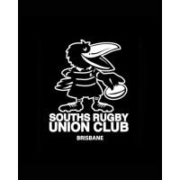 Souths Rugby Union logo - Similar company to Logiqc Quality Management System