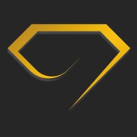 Diamond Wave Trading Corporation logo - Similar company to Direct Delivers