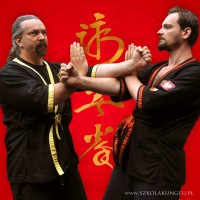 Wing Tsun Kung Fu logo - Similar company to Wingtsun Illinois