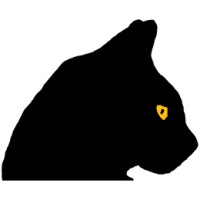 Panthera Studios logo - Similar company to Handmade Productions Llp