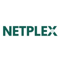 NETPLEX logo - Similar company to Synbrains Solutions Pvt Ltd