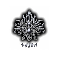 TEAM VAJRA logo - Similar company to Unity Cab Services Pvt Ltd