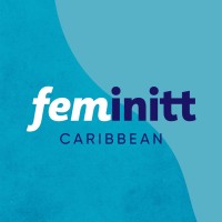 Feminitt Caribbean logo - Similar company to Hitfactorinfo