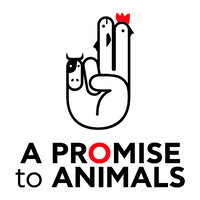 A Promise to Animals logo - Similar company to Πανελλήνια Φιλοζωική Ομοσπονδία - Hellenic Animal Welfare Federation
