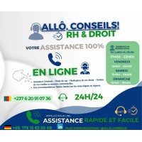 ALLÔ, CONSEILS en ligne ! logo - Similar company to Eko Agence - Affaires Publiques & Relations Publiques