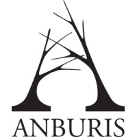 Anburis logo - Similar company to Designbud