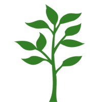 Linden Partners, LLC logo - Similar company to Impact Collective Group
