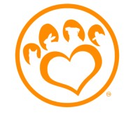 Paw Social logo - Similar company to Dataintellico Llc