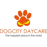 Dogcity Daycare logo - Similar company to State Swim