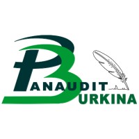 PANAUDIT BURKINA logo - Similar company to Digit'Art Consulting