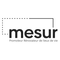 Mesur logo - Similar company to Horizons