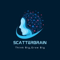 Scatterbrain Software Solutions logo - Similar company to Rishi Digital