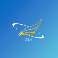 Vandy English Language Academy (VELA) logo - Similar company to Codecamp