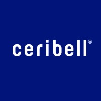 Ceribell │ AI-Powered Point-of-Care EEG logo - Similar company to Functional Neuromodulation