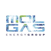 Molgas Energy Group logo - Similar company to Launch Garage