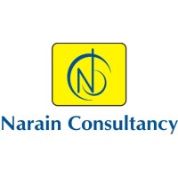 NARAIN PLACEMENT CONSULTANCY PRIVATE LIMITED logo - Similar company to Hiring Solution