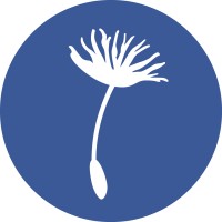 New Economy Coalition logo - Similar company to Project Equity