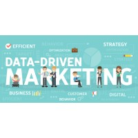 Data Driven Marketing Analyst logo - Similar company to Marketing Data Analyst