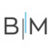 Blue Matter Pte. Ltd. logo - Similar company to Partner Plexus