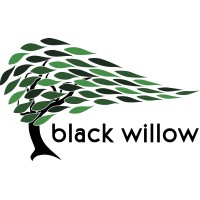Black Willow Inc logo - Similar company to Meta Force It