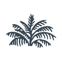Palmetto Running Company logo - Similar company to The Hot Bot