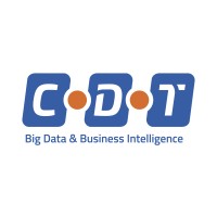 CDT Big Data & Business Intelligence logo - Similar company to Punta Blanca Solutions